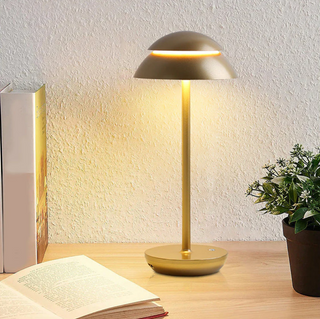 Cordless Mushroom Table Lamp
